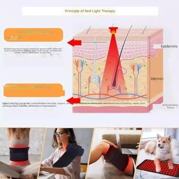 Waist Belt with 96 Led Red Light Therapy and Infrared Heating for Back Comfort Portable Battery Operated Lumbar Wrap